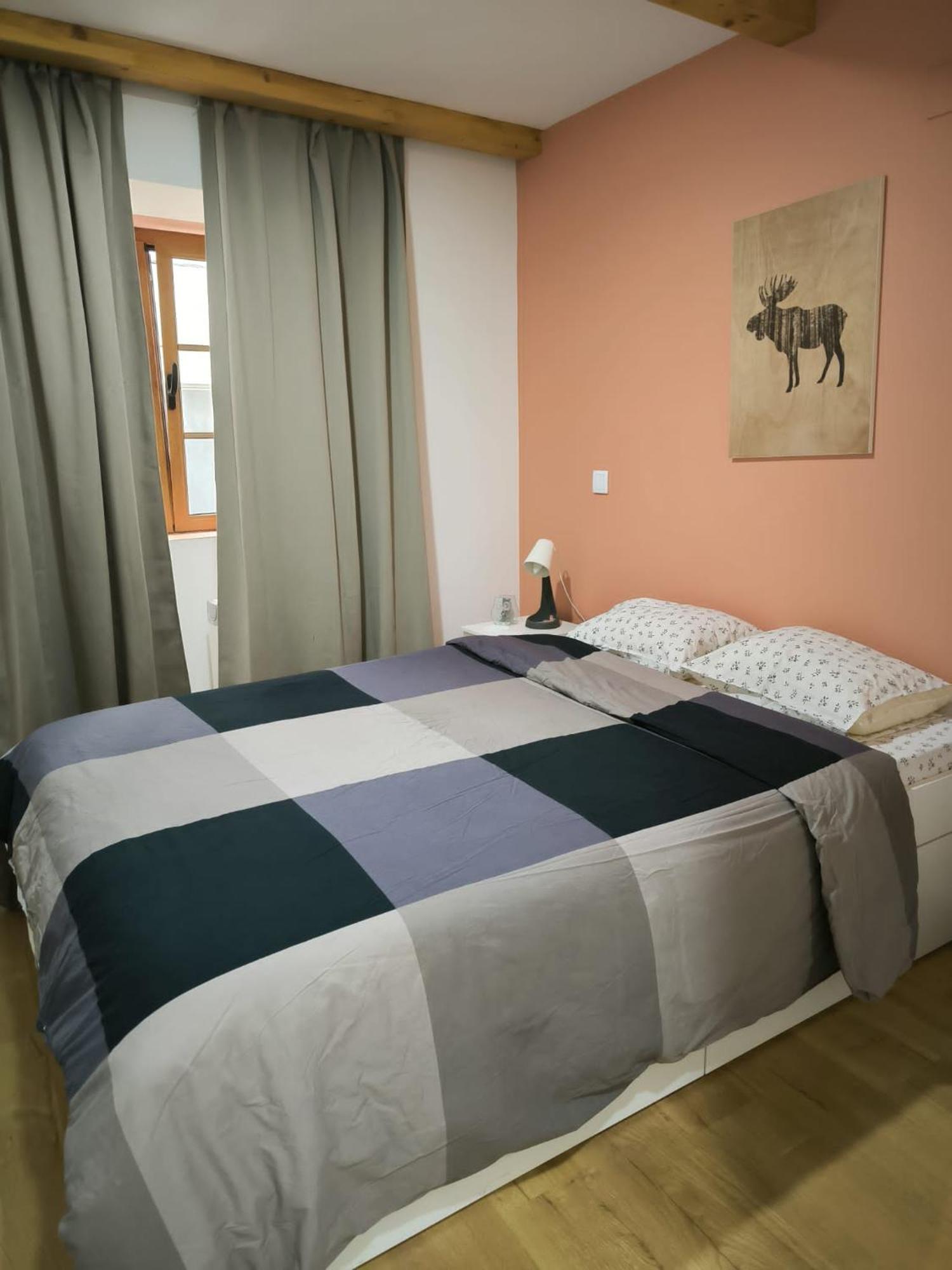 Coimbra Downtown Studio 외부 사진